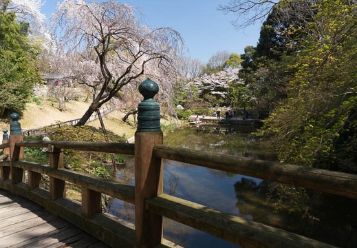 201303261035-DSC04646N.jpg
