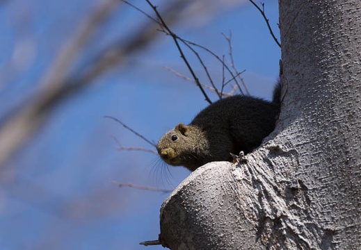 201303261043-DSC06894.jpg