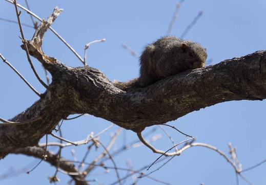 201303261045-DSC06905.jpg
