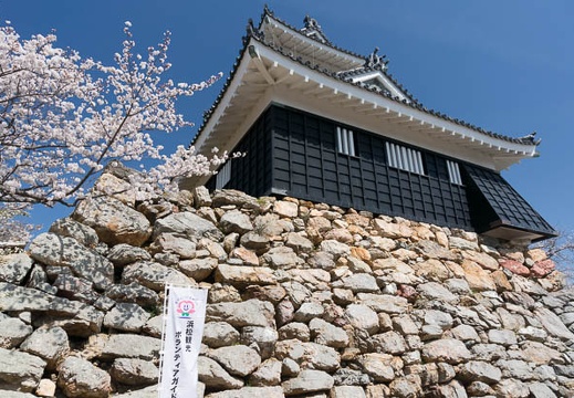 201303261056-DSC04661N.jpg