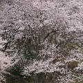 201303261440-DSC07241.jpg