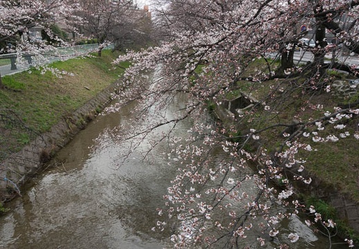 201303271425-DSC04847N.jpg