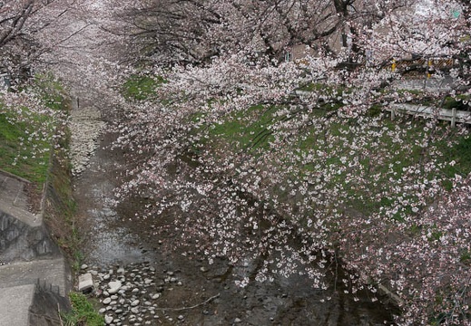 201303271449-DSC04860N.jpg