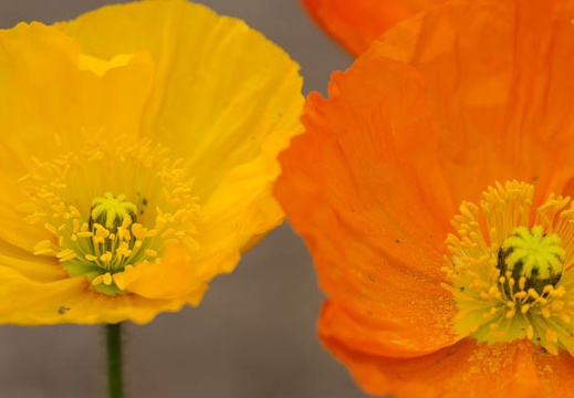 201303281416-DSC07649.jpg
