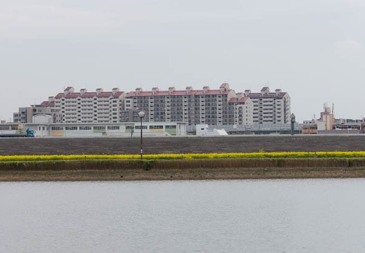 201303281447-DSC07733.jpg