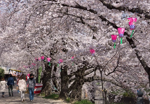 201303300928-DSC07885.jpg