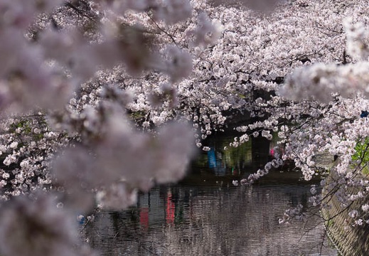 201303300932-DSC07890.jpg