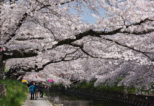 201303300944-DSC05074N.jpg