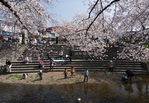 201303301030-DSC05122N.jpg