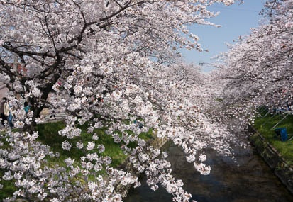 201303301037-DSC05135N.jpg