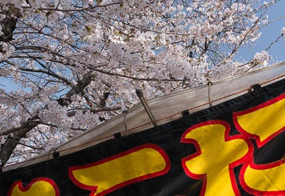 201303301044-DSC05149N.jpg