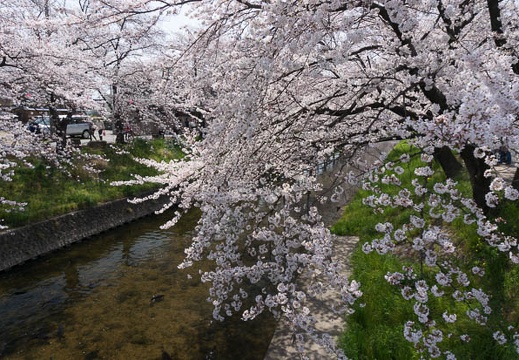 201303301113-DSC05182N.jpg