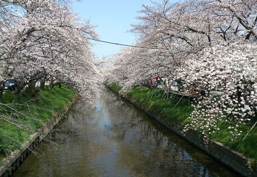 20130330111303-SO-04D.jpg