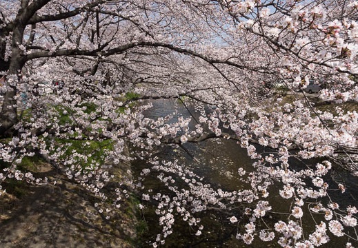 201303301241-DSC08343.jpg