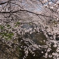 201303301241-DSC08343.jpg