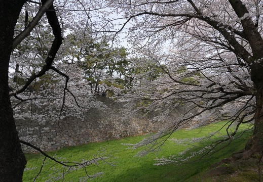 201303301558-DSC05335N.jpg