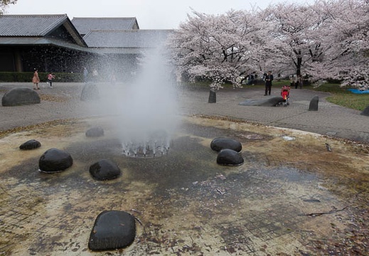 201303301658-DSC08573.jpg