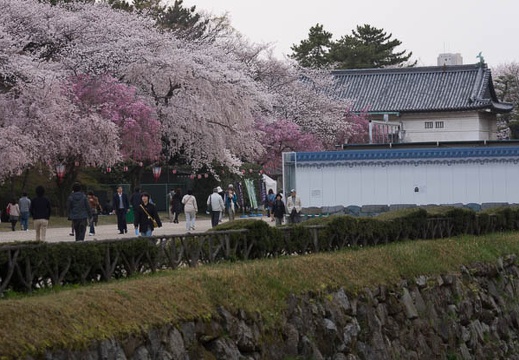 201303301724-DSC08616.jpg