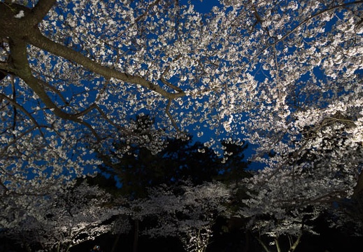 201303301833-DSC08701.jpg