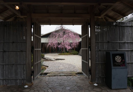 201303311257-DSC05423.jpg