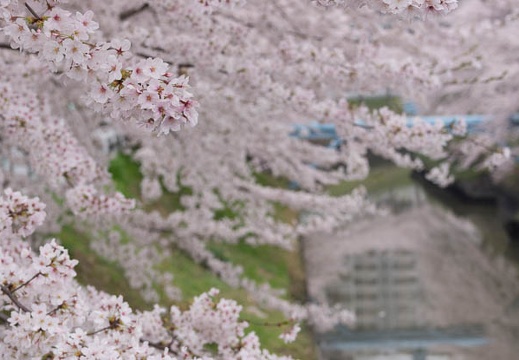 201303311430-DSC08859.jpg