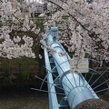 201303311437-DSC05533.jpg