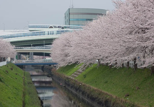 201303311455-DSC08957.jpg