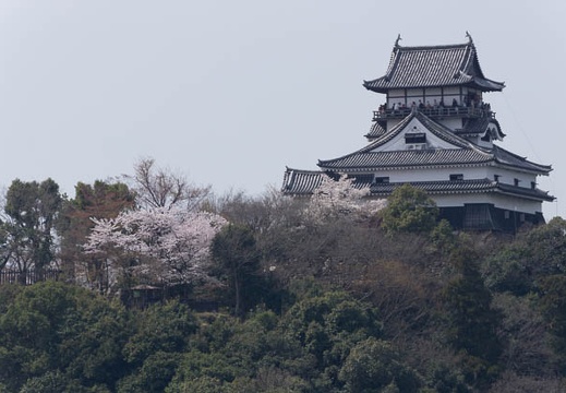 201304011054-DSC09124.jpg