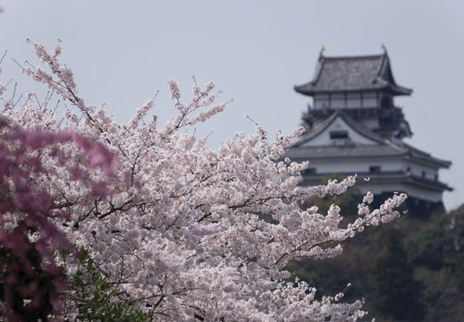 201304011058-DSC09138.jpg