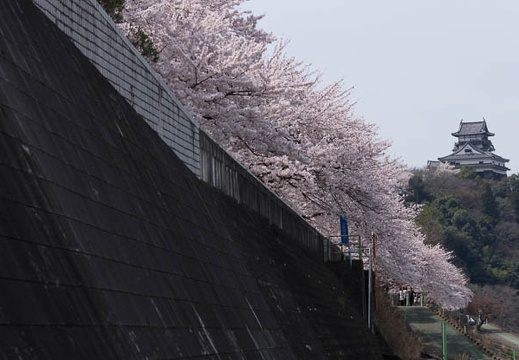 201304011059-DSC09141.jpg