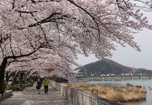201304011115-DSC09186.jpg