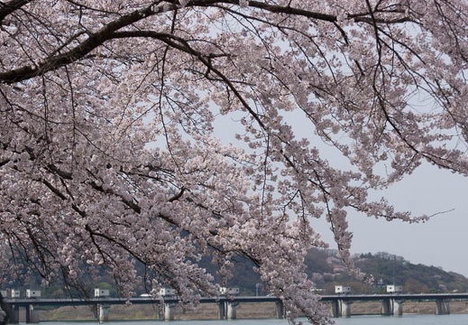 201304011118-DSC09191.jpg
