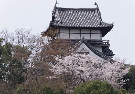201304011132-DSC09221.jpg