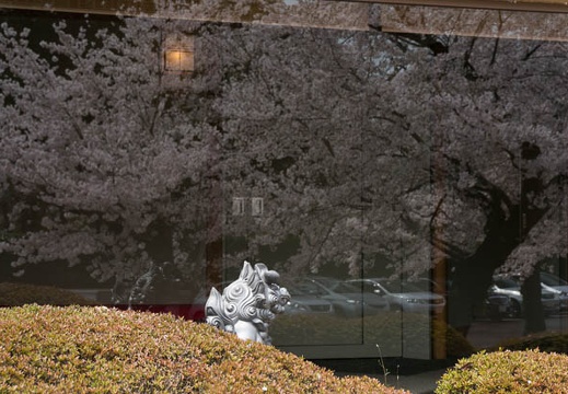 201304011137-DSC05671N.jpg