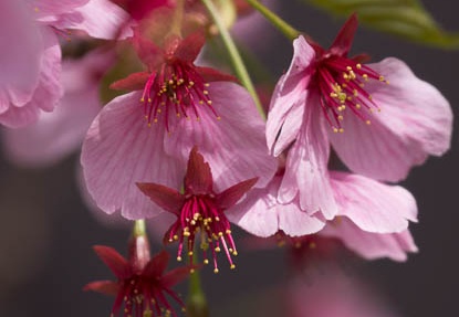 201304011146-DSC09251.jpg