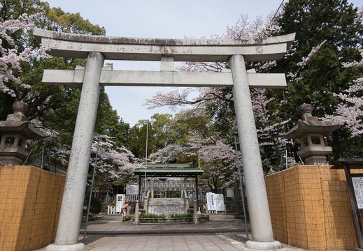 201304011154-DSC05683N.jpg