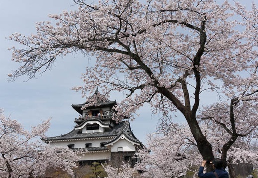 201304011200-DSC05692N.jpg