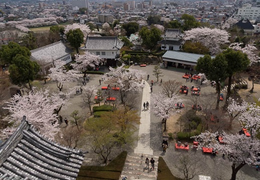 201304011207-DSC09270.jpg