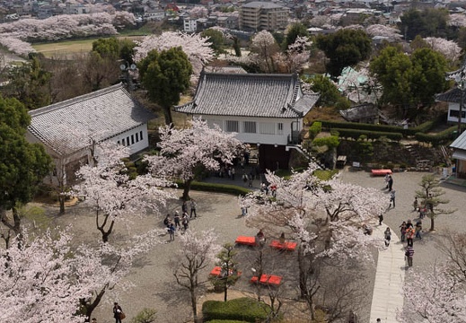 201304011207-DSC09273.jpg