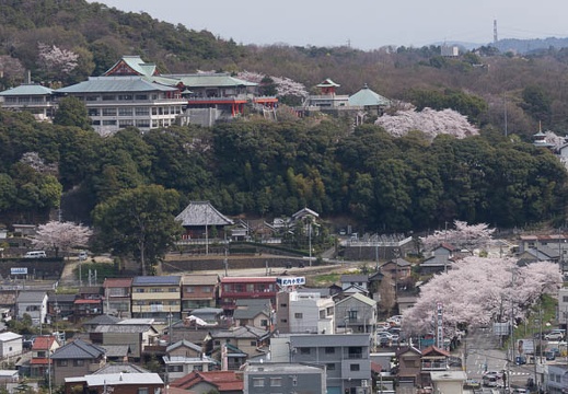 201304011212-DSC09298.jpg