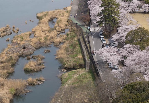 201304011213-DSC09300.jpg