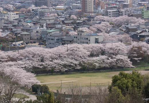 201304011214-DSC09307.jpg