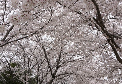 201304021320-DSC05893N.jpg