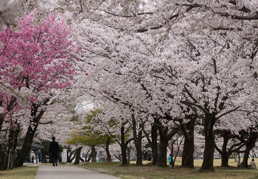 04.02 落合公園