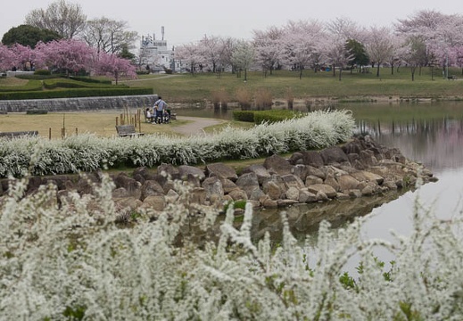201304021337-DSC09792.jpg