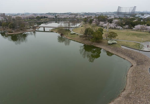 201304021341-DSC05928N.jpg
