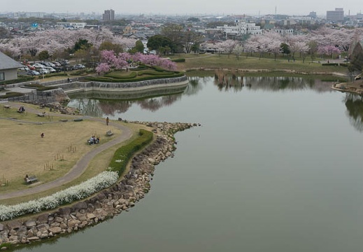 201304021341-DSC05930N.jpg