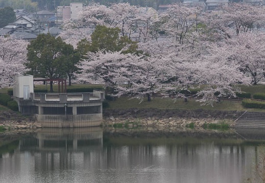 201304021344-DSC09808.jpg