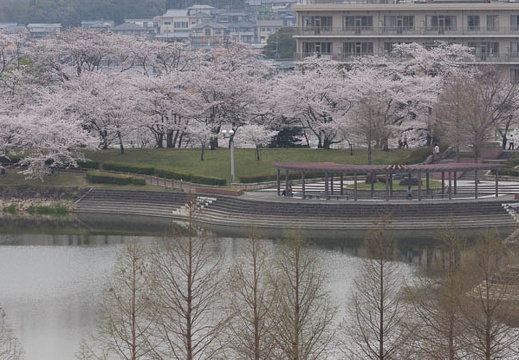 201304021346-DSC09815.jpg