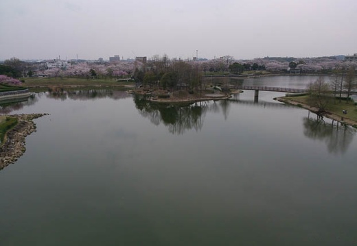20130402135630-SO-04D.jpg
